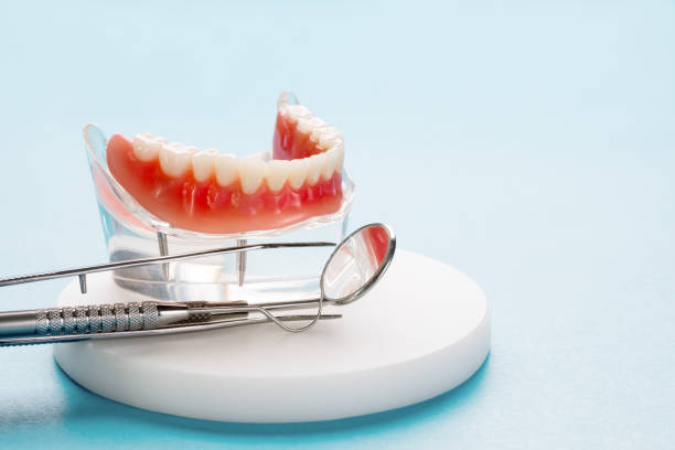Best Dental Fillings (Composite and Amalgam)  in Zephyrhills South, FL